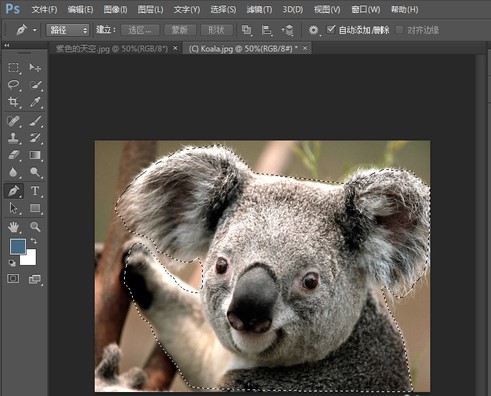 Photoshop7.0怎么用？Photoshop7.0使用帮助