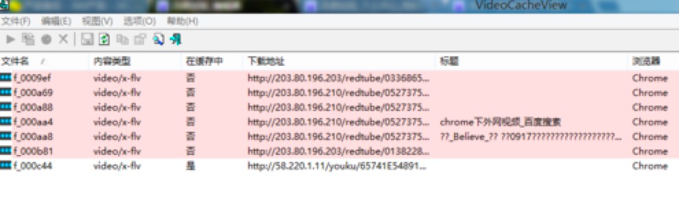 VideoCacheView中文版免费下载及基础使用教程