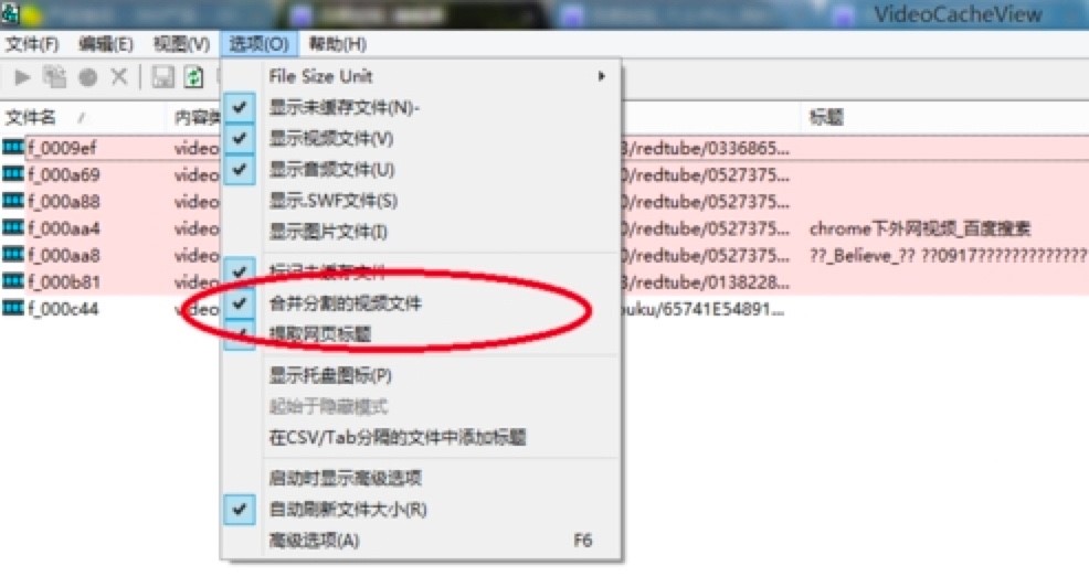 VideoCacheView中文版免费下载及基础使用教程