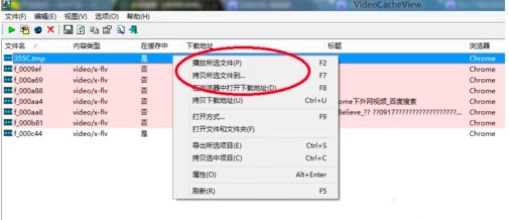 VideoCacheView中文版免费下载及基础使用教程