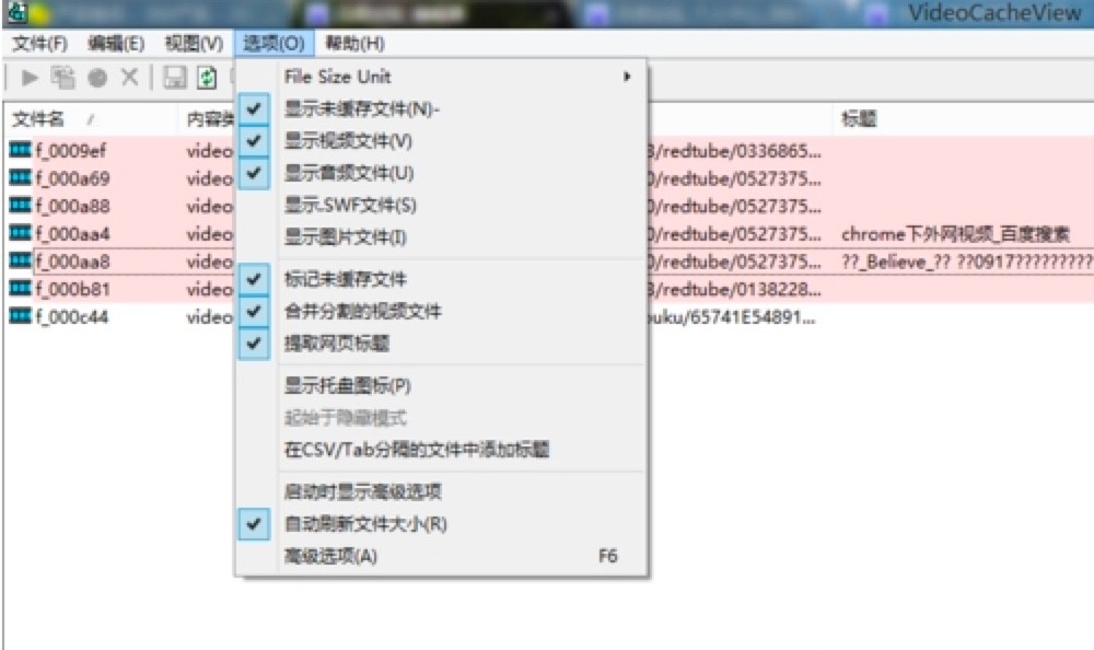 VideoCacheView中文版免费下载及基础使用教程