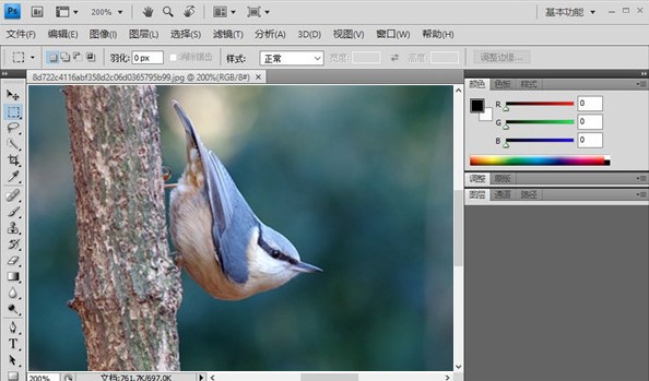 Adobe Photoshop CS4新用户使用指南