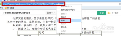 冰点文库下载器下载使用教程