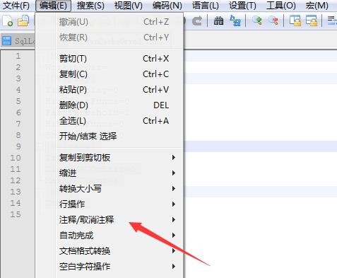 Notepad++快速代码注释取消方法