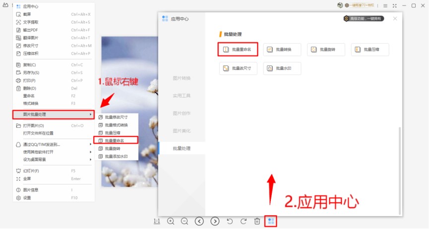WPS图片使用指南——图片转txt/Word/excel图文教程