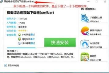 怎么避免在网上时软件的下载会附带流氓广告