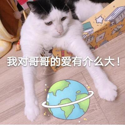 ip地址更换打榜投票 告诉你最简单的换IP方法