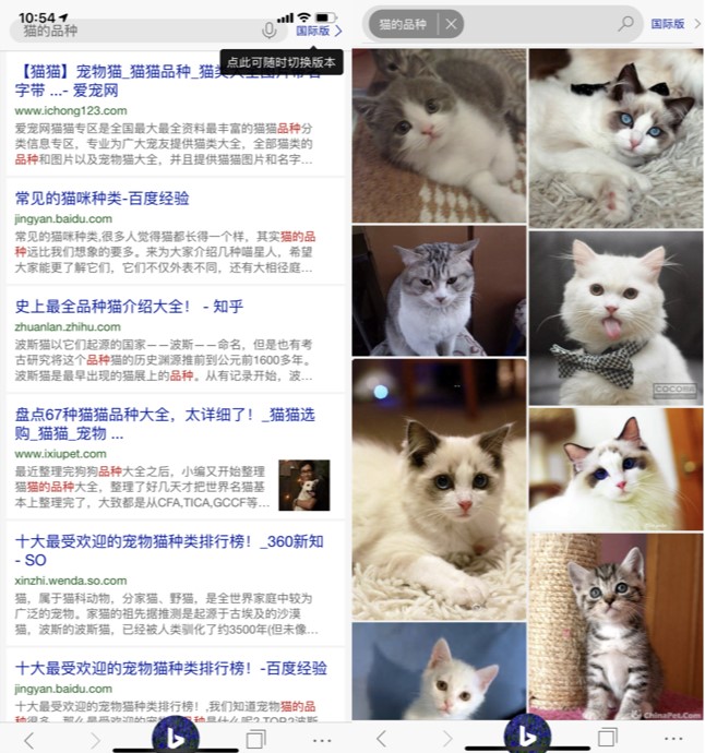 微软公司官方出品 微软必应app下载使用
