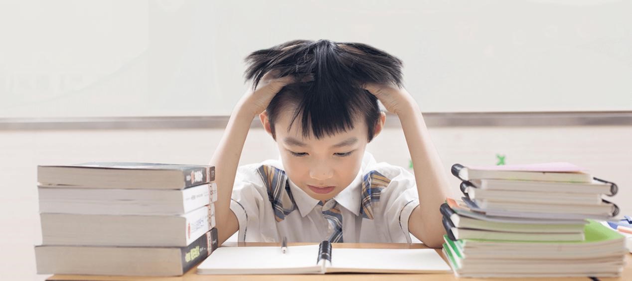 狸米课堂这款直播课程的学习软件，你知道吗？