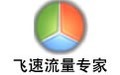 SEO刷网站流量软件飞速流量专家下载介绍