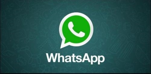 WhatsApp电脑版官网下载简介