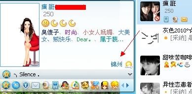 显示QQ好友隐身和IP的QQ传美版下载使用