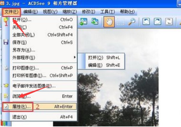 教你使用ACDSee修改照片拍摄时间方法