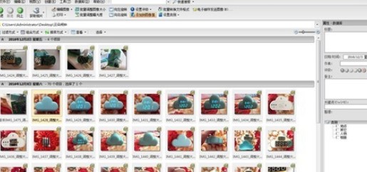 ACDSee图片管理软件给图片重命名的操作步骤