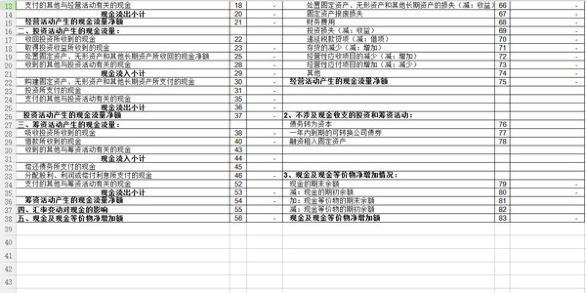 现金流量表格式的功能特性详细介绍