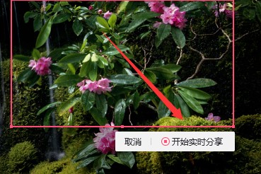 QQ群课堂怎么分享屏幕教程