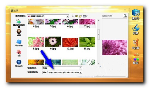TinyPic英文版使用方法介绍