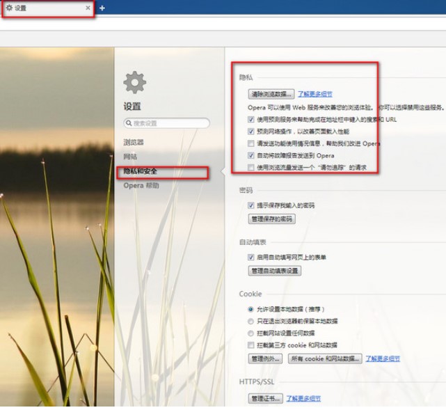 Opera浏览器怎么清除缓存文件