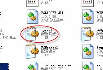 网际快车（FlashGet）去广告教程