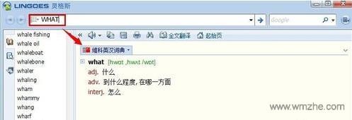 灵格斯词霸便携版使用方法