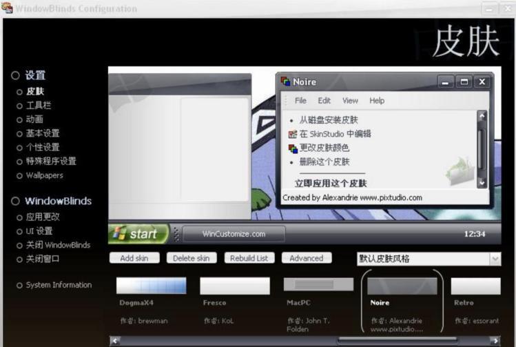 WindowBlinds软件Windows桌面美化工具