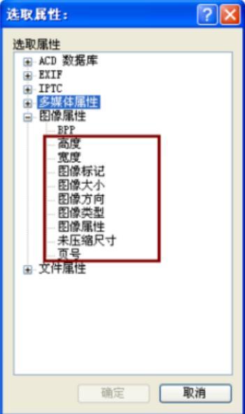 acdsee添加更多排序选项的方法技巧