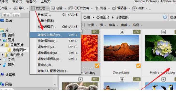 使用acdsee进行编辑图片的详细步骤