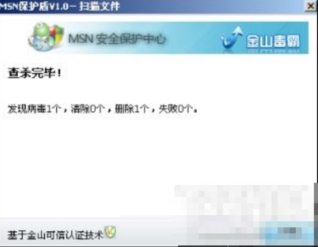 MSN保护盾是什么