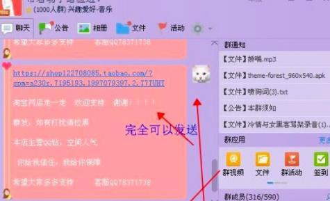 webpp禁言能说话软件介绍及功能详解
