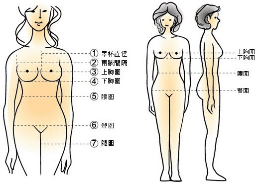 三围换算工具使用方法