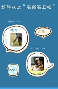 飞信软件特点及功能介绍