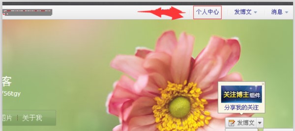 新浪博客刷人气（南极新浪博客访客流量刷新工具）使用及博客查看访客方法