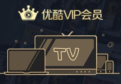 优酷解析（优酷视频真实地址解析）使用方法