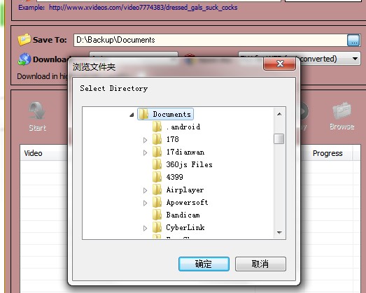 XVideos Video Downloader新手使用教学