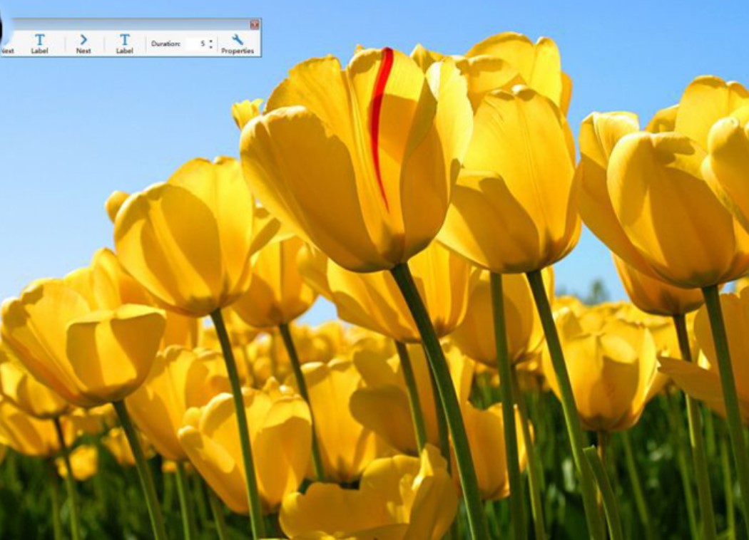 Screensaver屏保工具使用说明