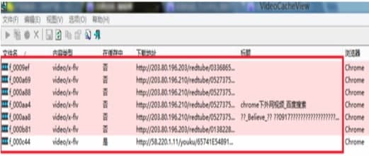 videocacheview官方下载