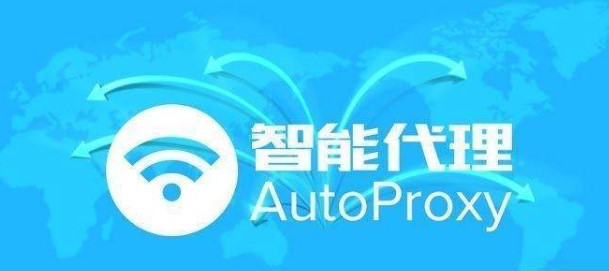 autoproxy插件规则写法