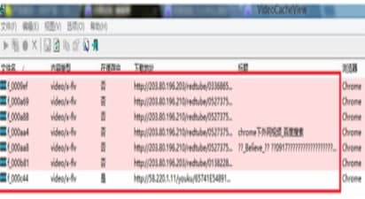 Videocacheview官方下载