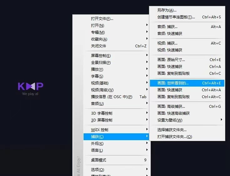KMPlayer播放器截图技巧及各项高级设置方法介绍