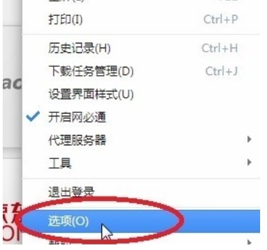 360极速浏览器打开网必通操作教学