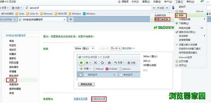 360浏览器皮肤下载安装使用介绍