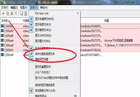 Videocacheview安装教程介绍