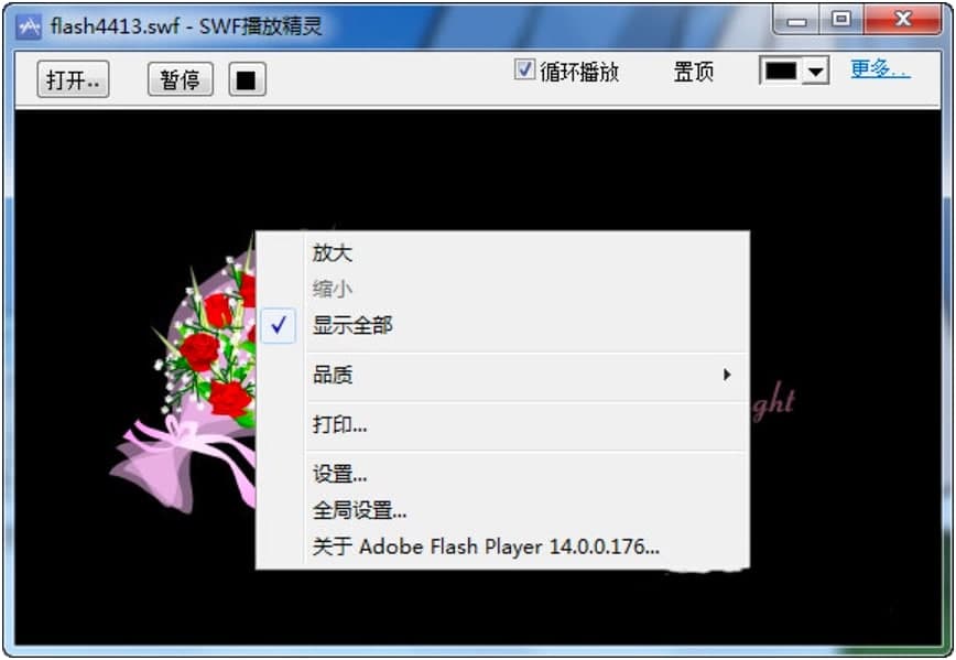 SWF播放精灵新手必看的快速上手使用技巧详细介绍