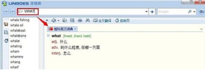 Lingoes（灵格斯词霸）使用方法