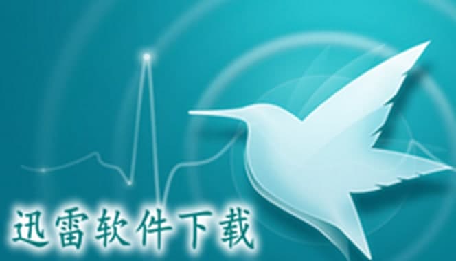 网络迅雷软件简介