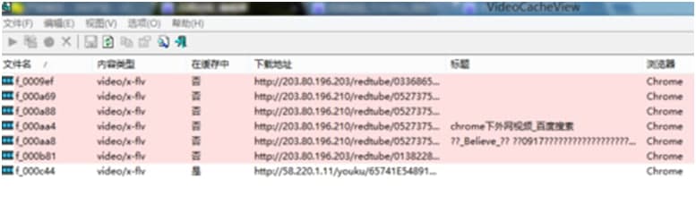 videocacheview中文版使用教程