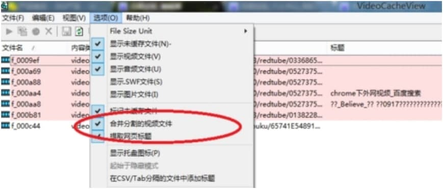videocacheview中文版使用教程
