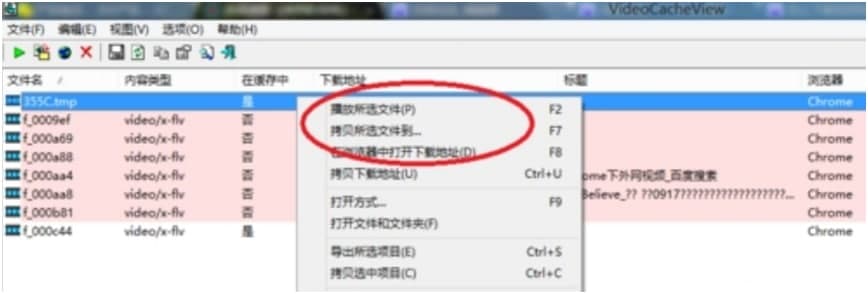 videocacheview中文版使用教程