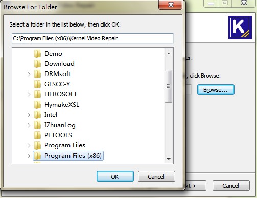 Kernel Video Repair安装步骤