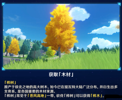 图：原神1.5版本家园系统:木头介绍